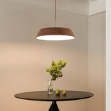 Luminoir – Holz LED Pendelleuchte