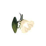 LilyGlow – Wandleuchte mit Blumenmotiv