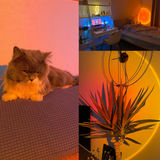 Gluvix – Goldene LED-Tischlampe