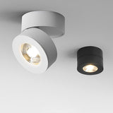 Luminoir - Verstellbare LED Deckenleuchte