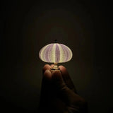LumiCraft – DIY Seeigel Tischlampe