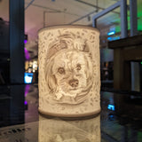 AuraSculpt - Künstlerische Lampe