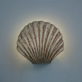 CoastalGlow – Muschel Wandleuchte