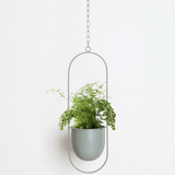 VerdiFrame – Moderner Minimalistischer Pflanzenhalter