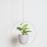 VerdiFrame – Moderner Minimalistischer Pflanzenhalter