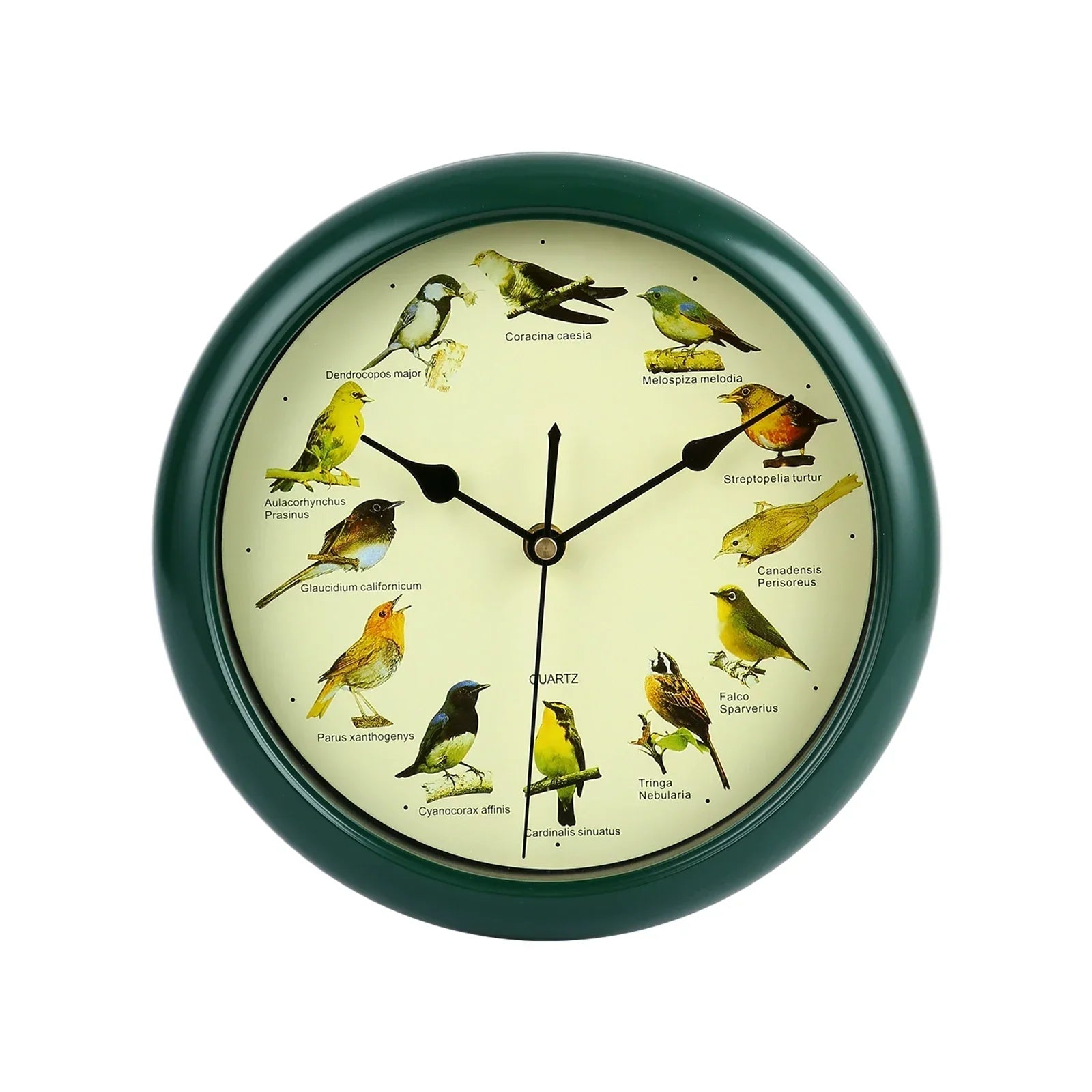 VogelZang - Vogel Wanduhr