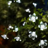 BloomGlow - Solar Gartenleuchte