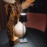 LichtFlex – Tragbare LED Lampe