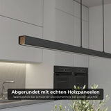Calimera – LED Pendelleuchte