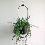 VerdiFrame – Moderner Minimalistischer Pflanzenhalter